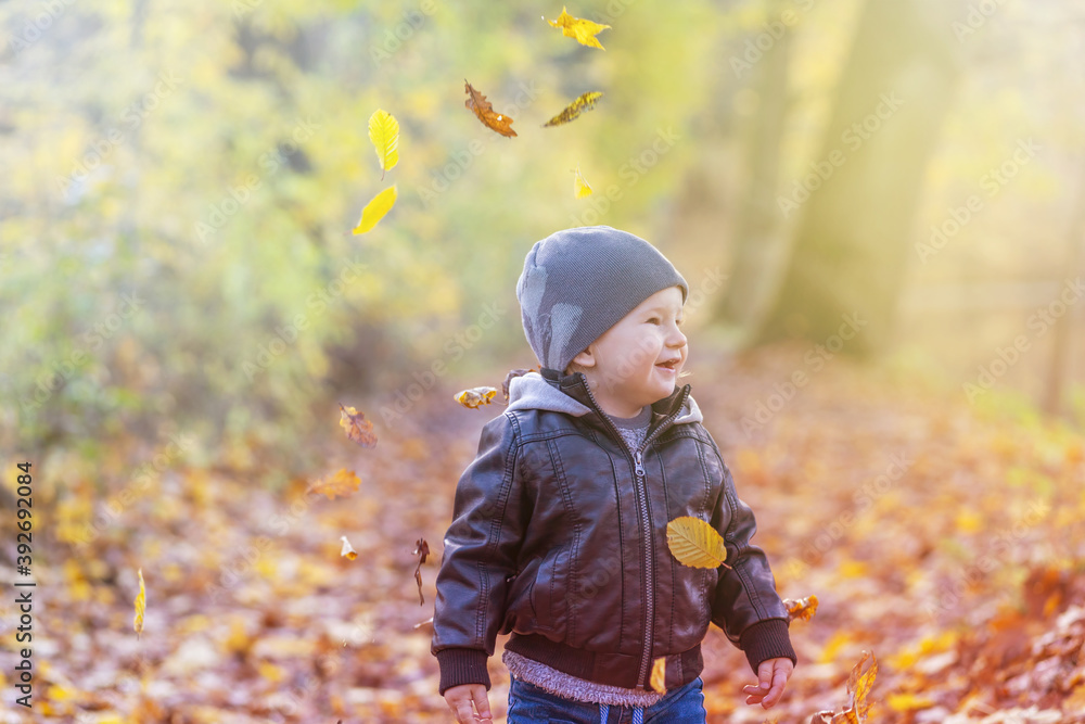 Smiling little boy is seeing falling autumn leaves outdoors. Photo in soft light autumn colors. Smiling little boy is seeing falling autumn leaves outdoors. Photo in soft light autumn colors.