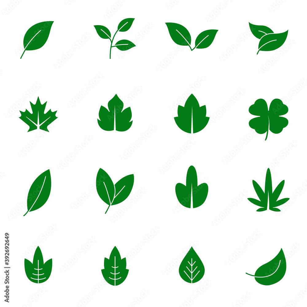green leaf icons vector set of signs for infographic, logo, app development and website design. Premium symbols isolated on a white background. Eps10 green leaf icons vector set of signs for infographic, logo, app development and website design. Premium symbols isolated on a white background. Eps10