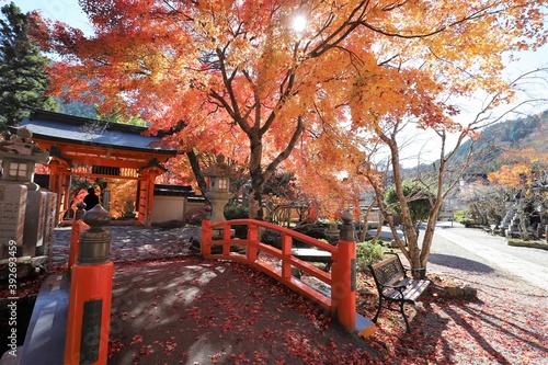 奈良県　天川村龍泉寺の紅葉