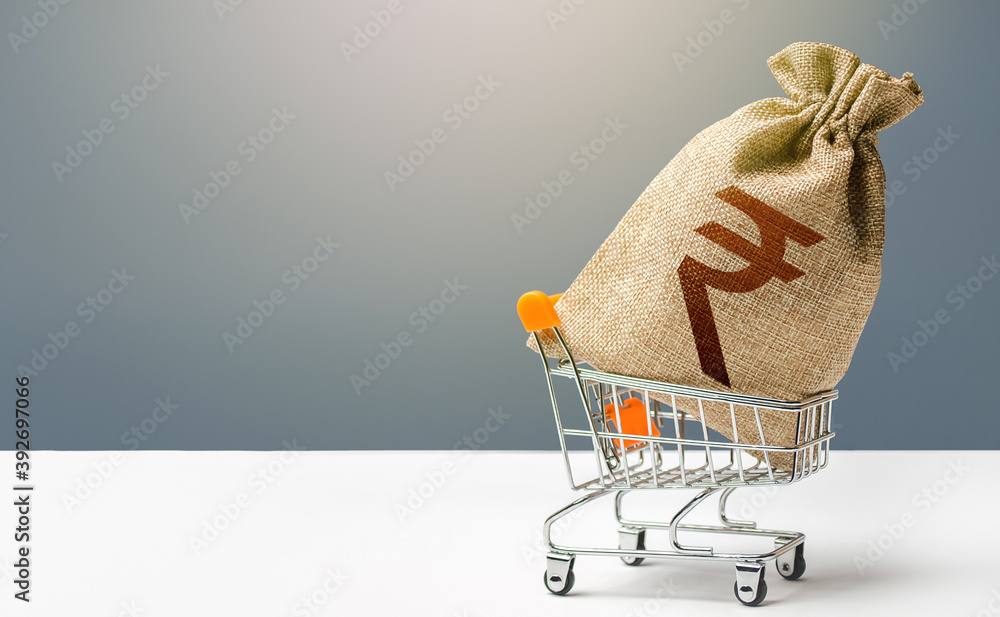 Indian rupee money bag in a shopping cart. Profits and super profits.  Minimum living wage. Consumer basket. Business and trade concept. Public  budgeting. Economic bubbles. Loans, microloans. Stock Photo | Adobe Stock