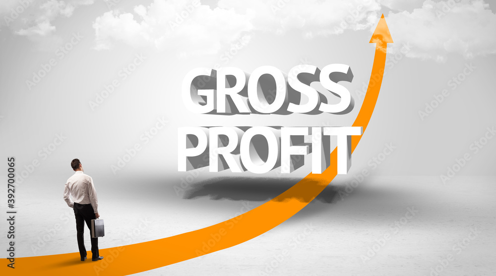 Rear view of a businessman standing in front of GROSS PROFIT inscription, successful business concept Rear view of a businessman standing in front of GROSS PROFIT inscription, successful business concept