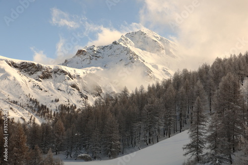 Mountain landscape in winter with snow on trees