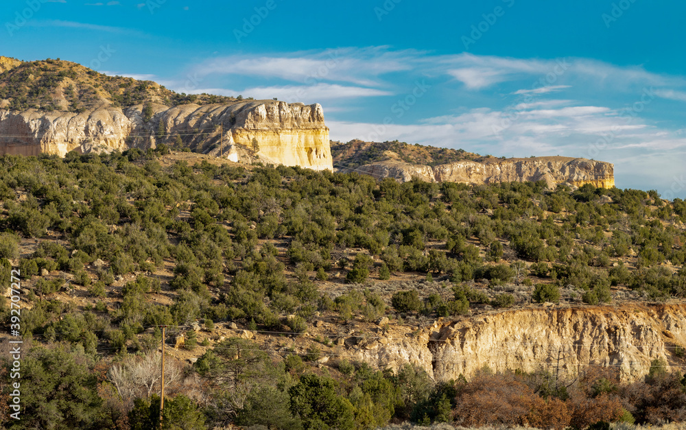 Fototapeta premium Carson National Forest