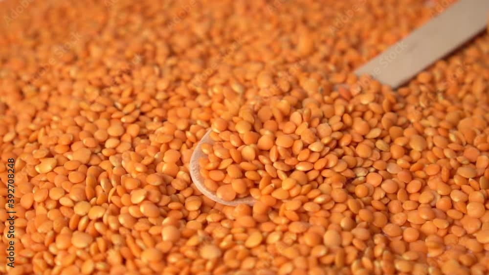 Yellow raw lentils in a wooden spoon. The fall. Legumes. Slow motion Yellow raw lentils in a wooden spoon. The fall. Legumes. Slow motion
