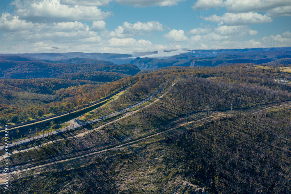 Aerial view of low clouds in a valley of forest regeneration after bushfires in regional Australia Aerial view of low clouds in a valley of forest regeneration after bushfires in regional Australia