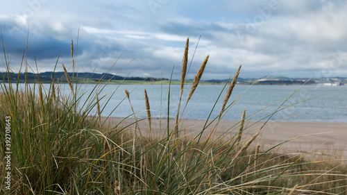 Eden Estury from West Sands  St Andrews  Fife  Scotland