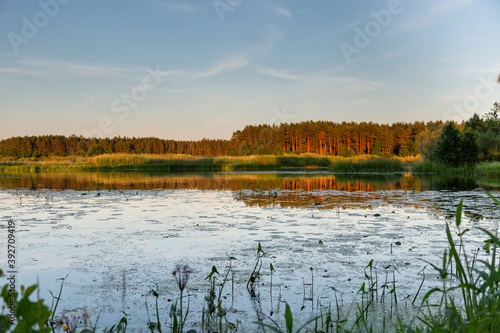 landscape with lake