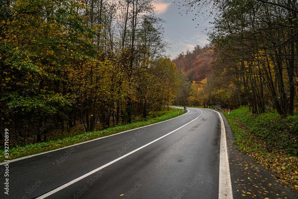 Naklejka premium asphalt road in nature, orange autumn forest