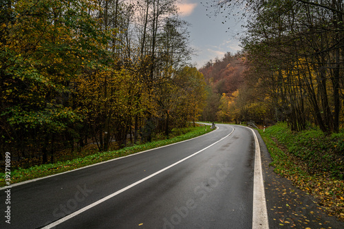 asphalt road in nature, orange autumn forest