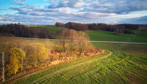 Obraz na płótnie Beautiful green field. Winter cereal and blue, cloudy autumn sky. w salonie
