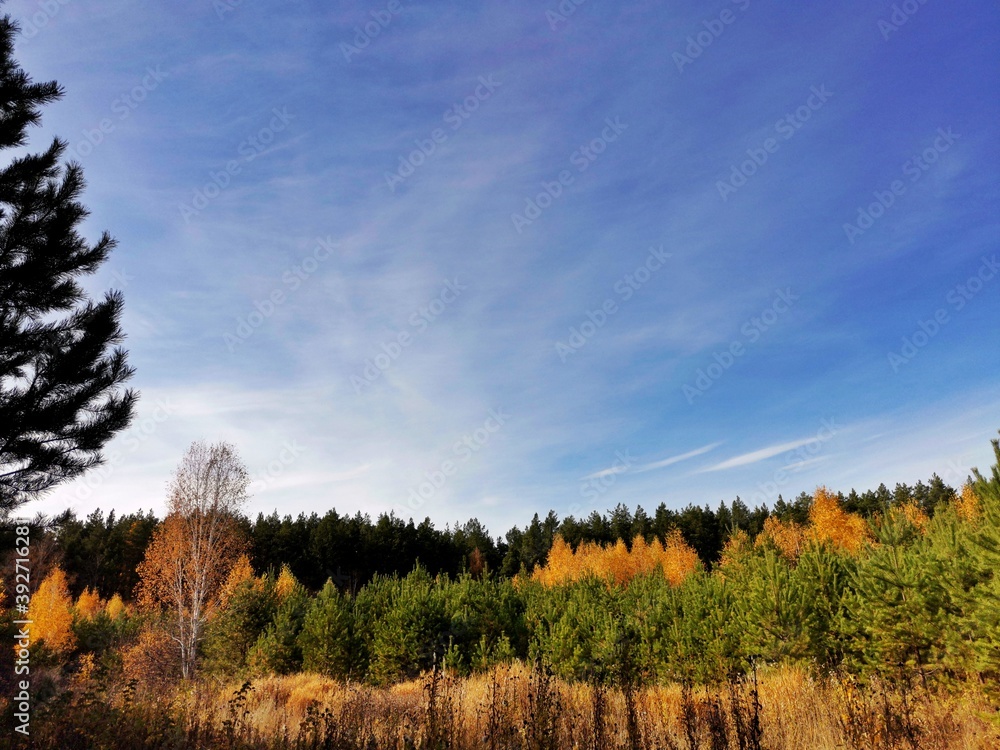Fototapeta premium autumn in the mountains