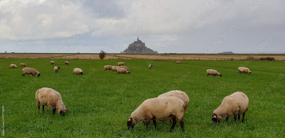 Obraz premium Paysage