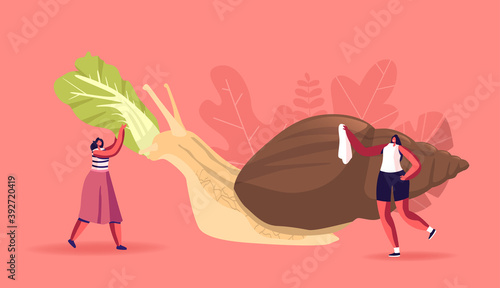 Tiny Female Characters Care of Huge Achatina Snail Feeding with Cabbage Leaves and Cleaning Shell. People and Mollusk