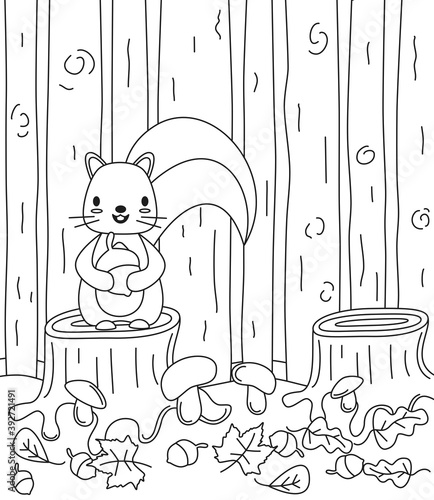 Cute lovely cartoon squirrel in the woods vector funny black and white illustration for coloring art