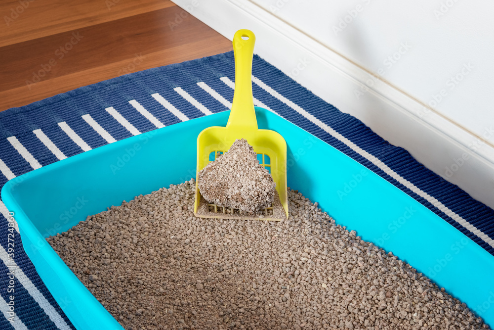 Close up on a cat litter and scoop. Natural clay that forms clumps