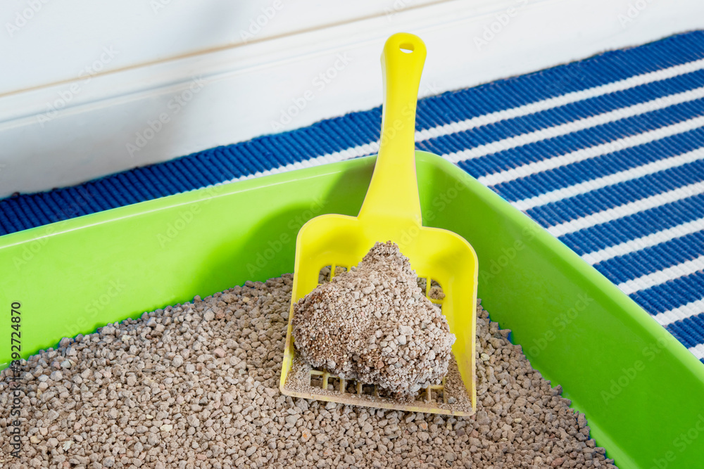 Close up on a cat litter and scoop. Natural clay that forms clumps with