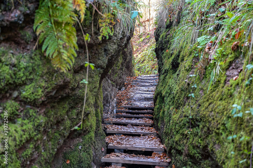 Drachenschlucht bei Eisenach im Sp  therbst