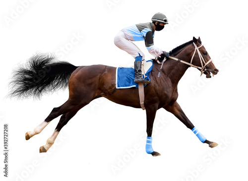 horse jockey jump isolated on white background of running horses