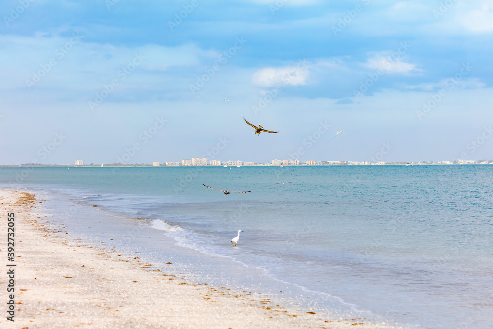 San Carlos Bay in the background Fort Myers Beach