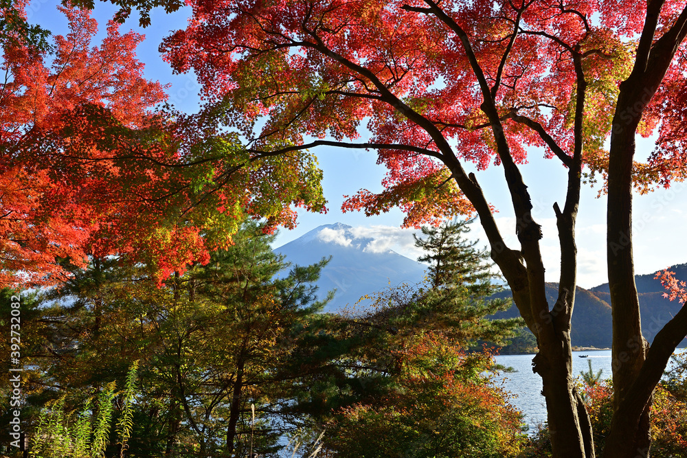 Japanese people have appreciated the beauty of fall foliage since ancient times. Japanese people have appreciated the beauty of fall foliage since ancient times.