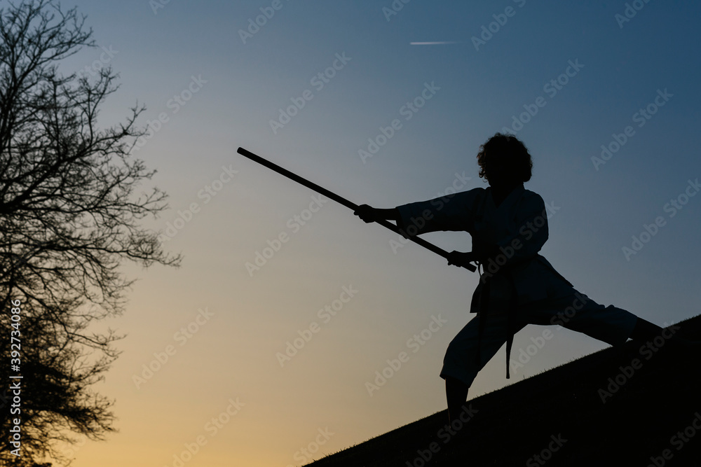 Silhouette of a karate woman, wearing a kimono, in attack posture, with a bo, long stick. Karate and martial arts concept. In a park and trees background. Image with copyspace