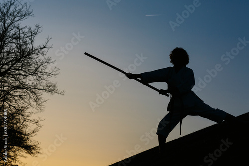 Silhouette of a karate woman, wearing a kimono, in attack posture, with a bo, long stick. Karate and martial arts concept. In a park and trees background. Image with copyspace