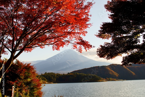Japanese people have appreciated the beauty of fall foliage since ancient times.