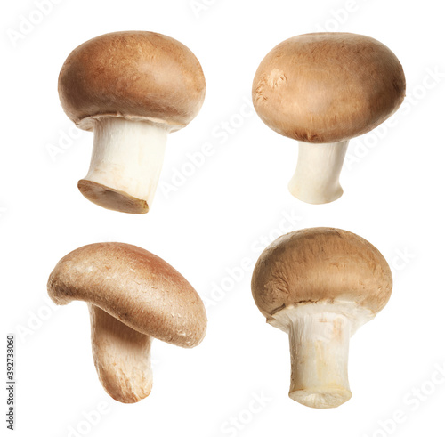 Set of fresh edible mushrooms on white background