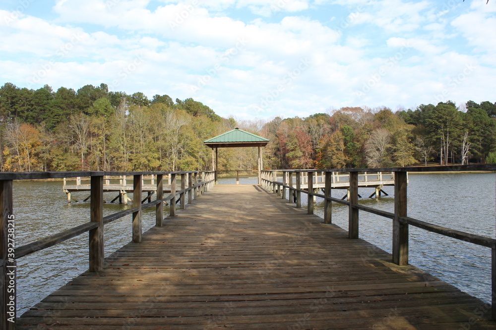 Fototapeta premium A walk in the Park