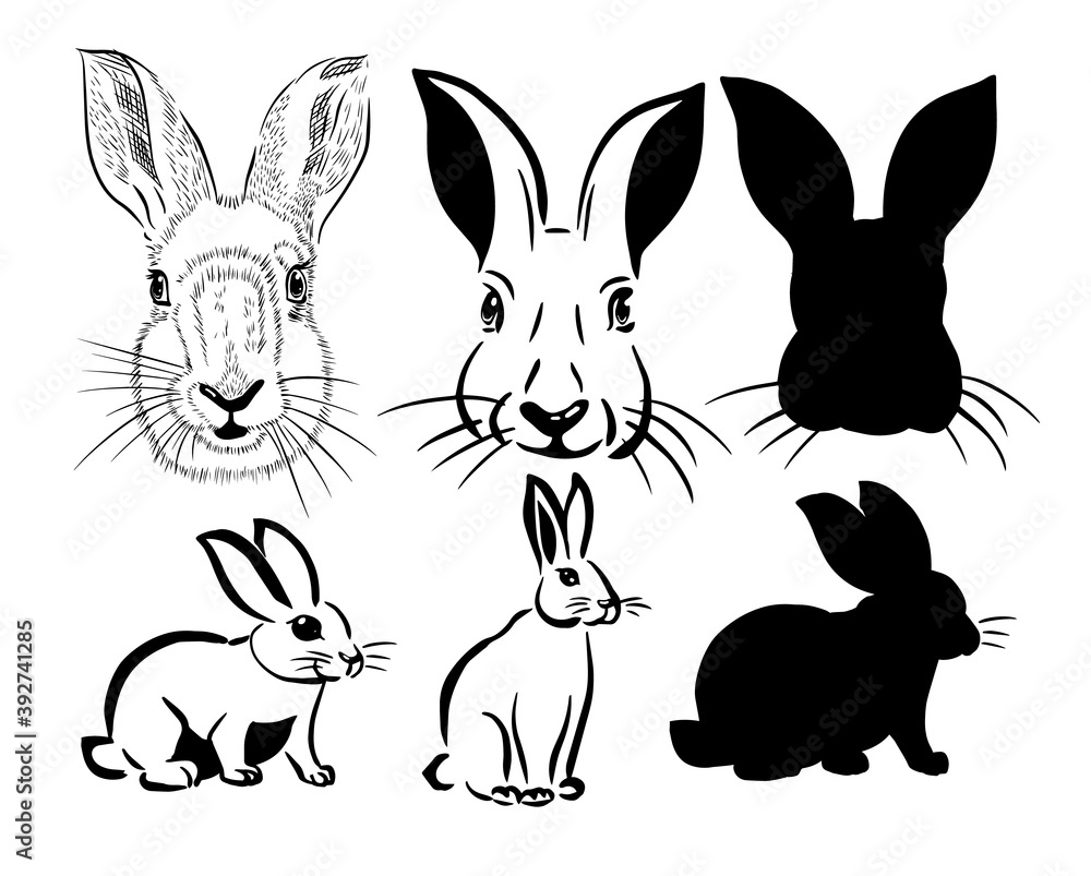 A set of rabbit. Happy Easter Day. Vector illustration