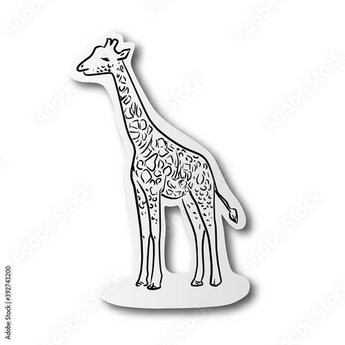 black line hand drawn of giraffe on cut paper with shadow isolated on white background