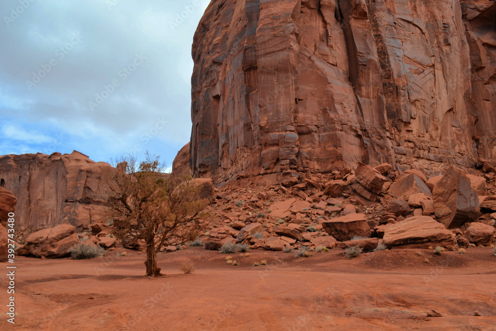 A lonely tree under a big rocks in the Monument Valley, Utah
