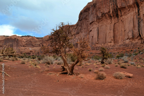 Obraz na płótnie Monument Valley, Utah w salonie