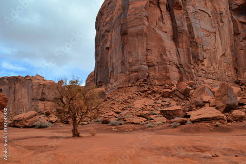 Obraz na płótnie A lonely tree under a big rocks in the Monument Valley, Utah w salonie