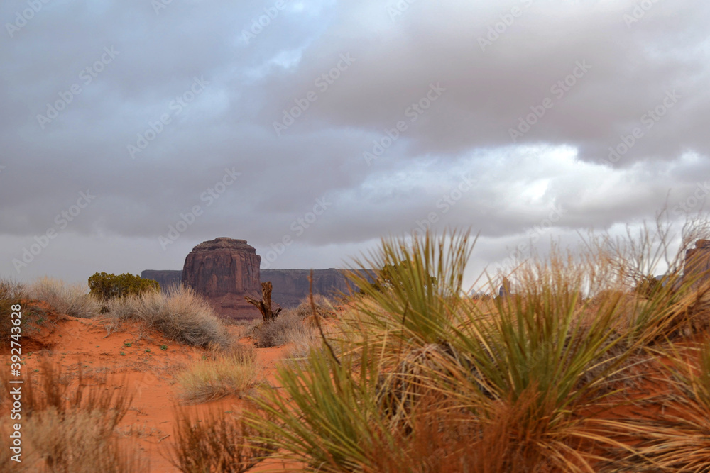 Green grass and red ground, Monument Valley, Utah