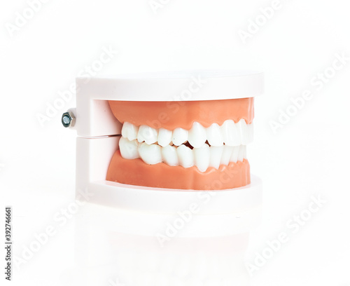 Artificial denture teeth over isolated white background.