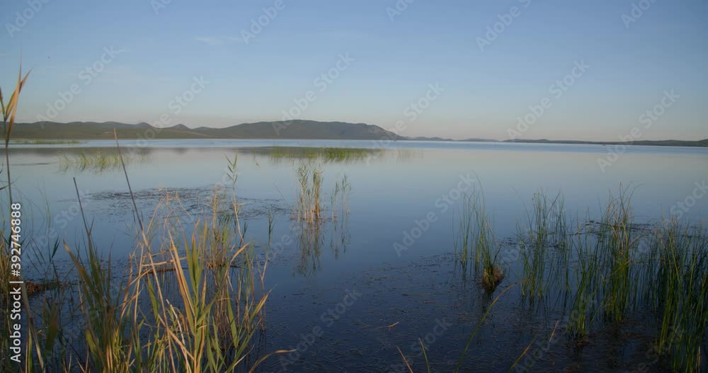 Morning in the reeds on Vransko jezero in Dalmatia, Croatia Morning in the reeds on Vransko jezero in Dalmatia, Croatia