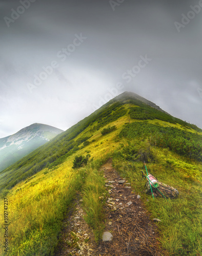 Mountain landscape with trail and green meadow and forest, Velyka Syvulya mountain, Karpaty, Ukraine