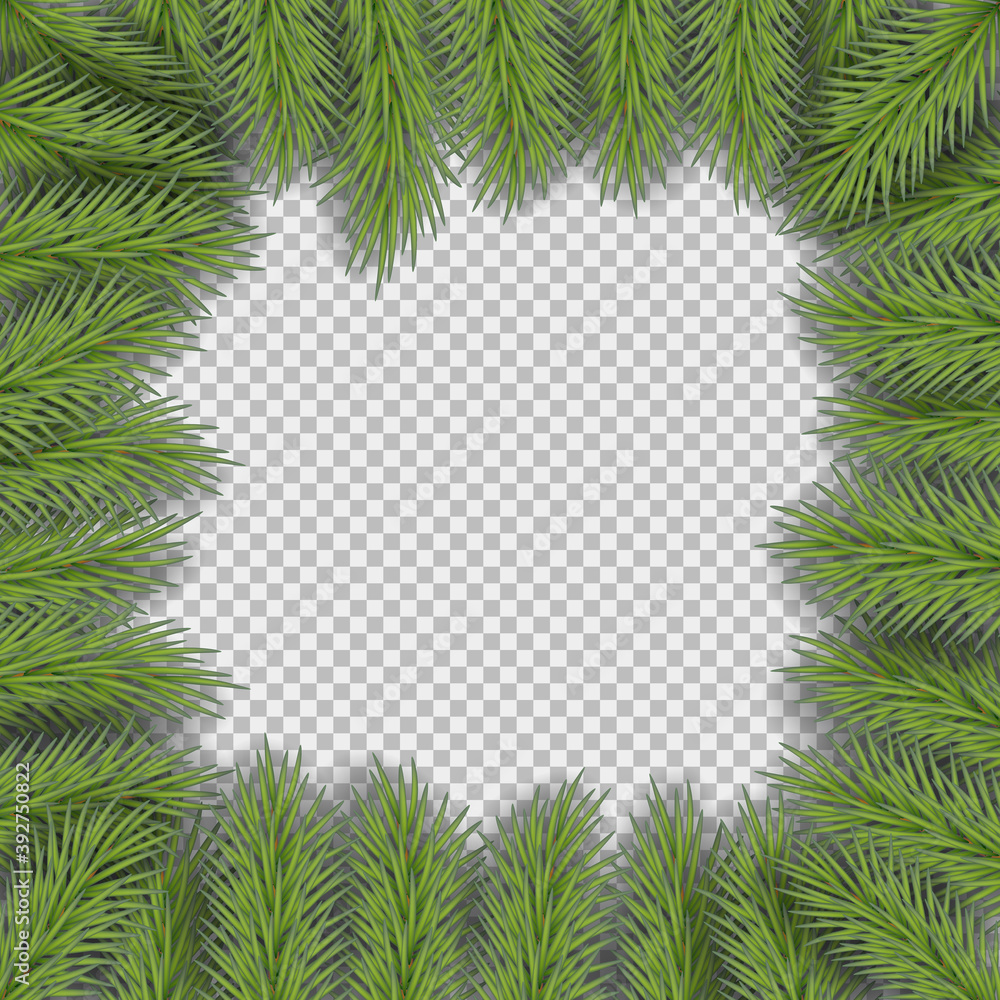 Vector christmas frame with pine branches with space for design.