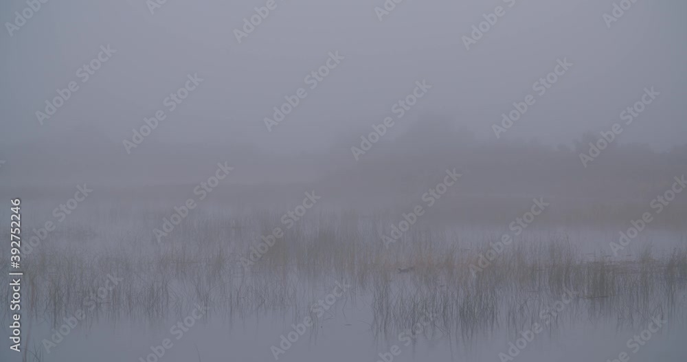 Sunrise with a mist on Vransko jezero in Dalmatia, Croatia Sunrise with a mist on Vransko jezero in Dalmatia, Croatia
