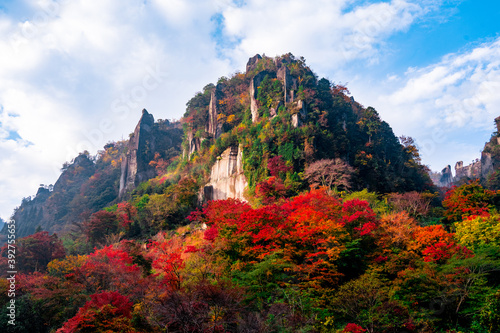 一目八景のモミジ