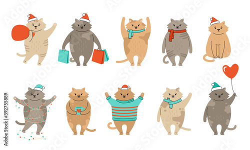 Fototapeta Naklejka Na Ścianę i Meble -  Christmas cat set. Collection kitten witn gift, purchase, sweaters. New year cats brown, gray, red, striped, spotted. Hand drawn funny cartoon character. Happy New year, merry Christmas. Vector
