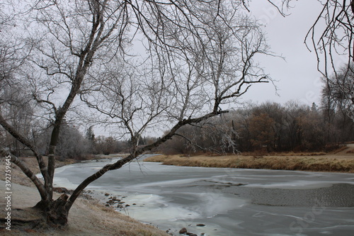 river in winter  After a whole day of freezing rain.