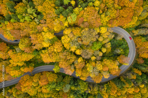 Fototapeta Naklejka Na Ścianę i Meble -  Fantastic autumn - colorful treetops with a significant red car driving through a double curve of a serpentine street at the fall.