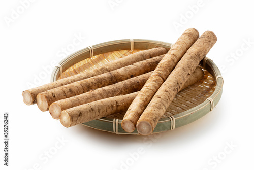 Burdock on a white background photo