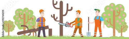 Workers in the city Park cut down an old dry tree. Service on the beautification of urban areas. Ready-made illustration, deforestation. Flat infographics. Vector illustration..