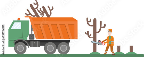 a worker cuts down an old dry tree. Service on the beautification of urban areas. KAMAZ, the truck is loaded with felled trees. Ready-made illustration. Flat infographics. Vector illustration..