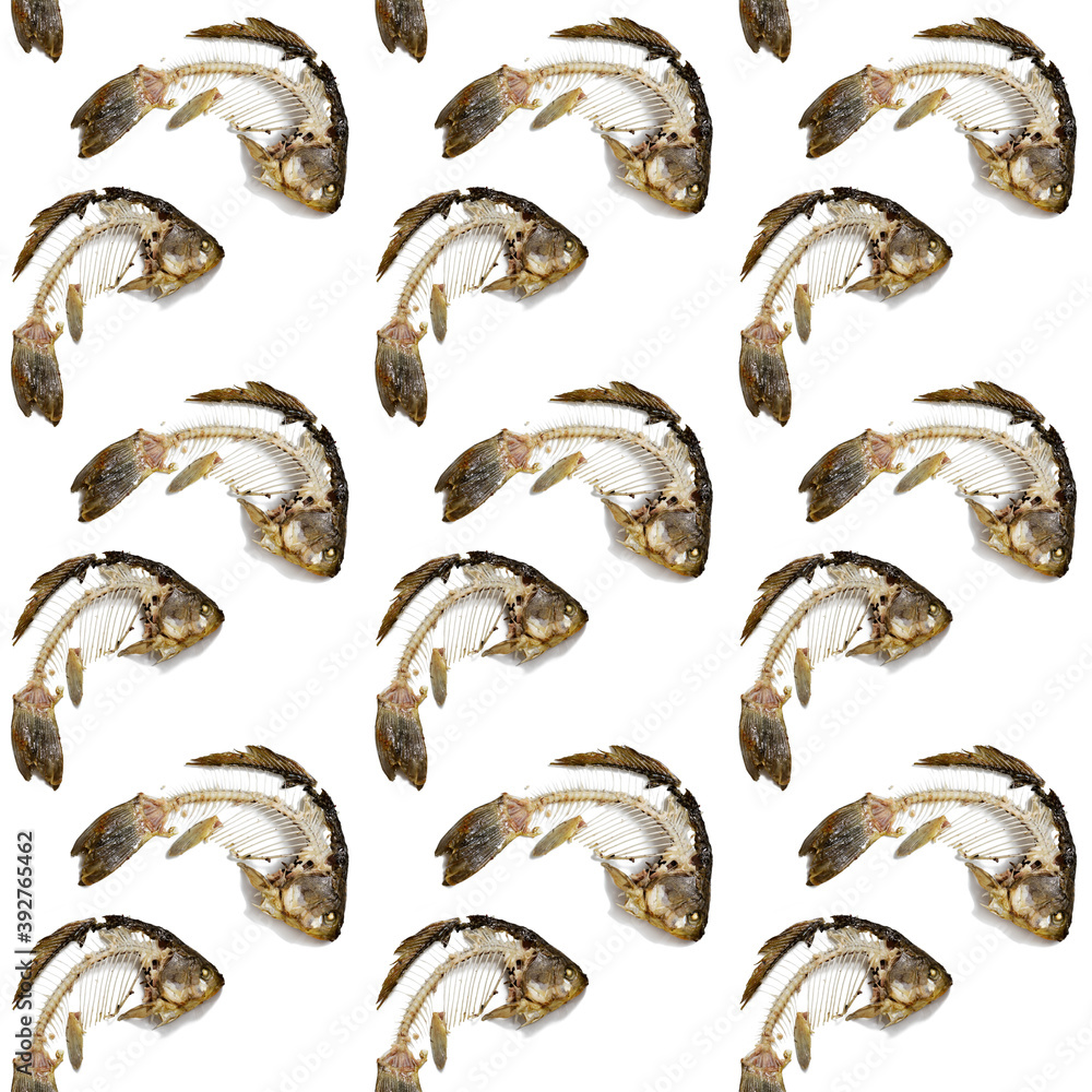 Seamless pattern from fish skeleton that was eaten. Bones crucian carp isolated, creative food print. Seamless pattern from fish skeleton that was eaten. Bones crucian carp isolated, creative food print.