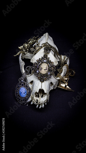 Skull of a dog with various vintage jewelry and other decorations isolated on black background. Animal skull.