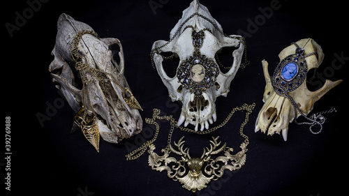 three skulls of different dogs and a raven skull with various vintage pendants and other ornaments isolated on a black background. Animal skulls.